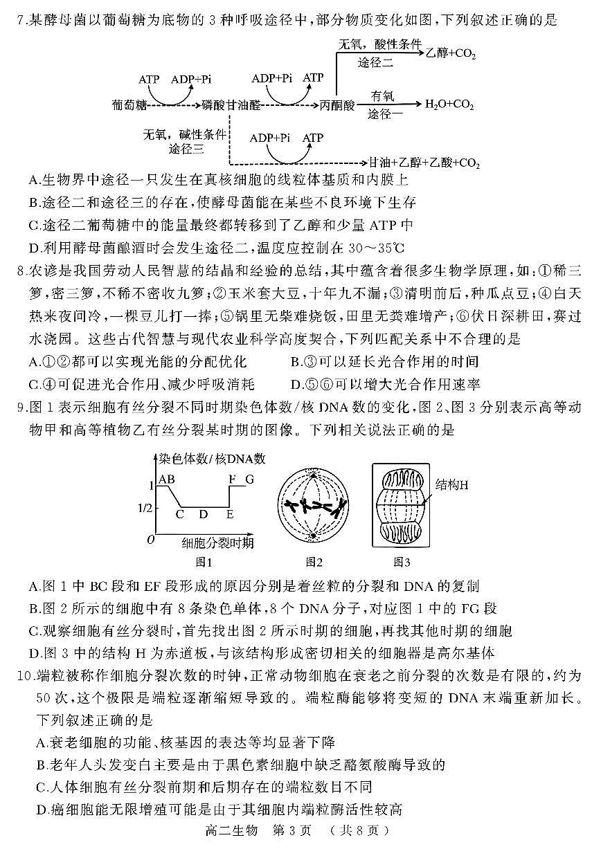 河南省驻马店市2024-2025学年高二下学期期末质量检测生物试题（含答案）第3页