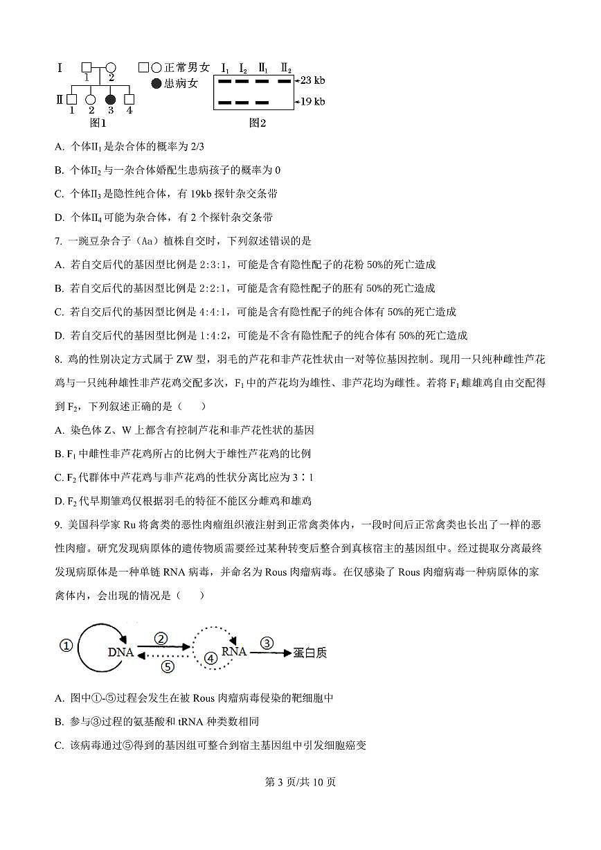 精品解析：湖南省岳阳市颐华高级中学（平江）2025-2026学年高二上学期入学考试生物试题（原卷版）第3页