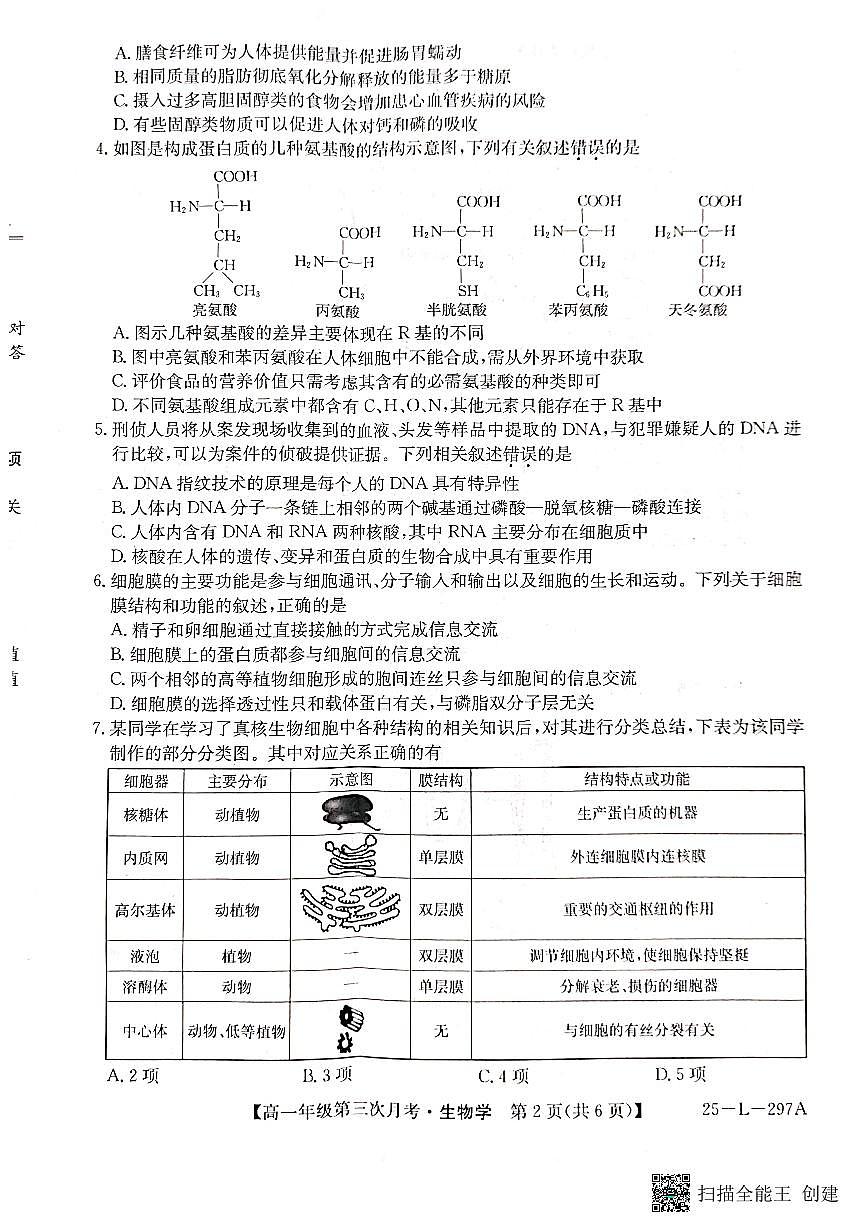 河北省联考2024-2025学年高一上学期第三次月考11月生物试卷+答案第2页