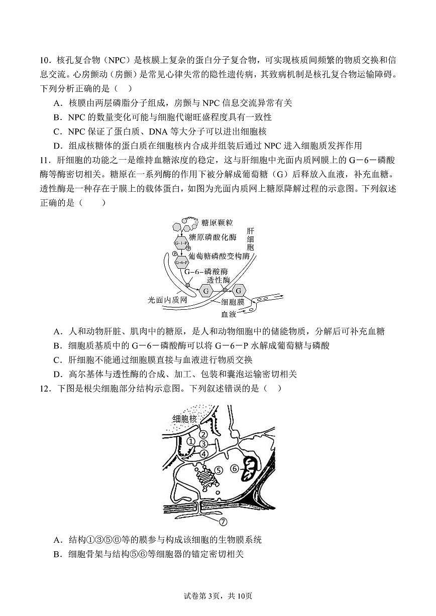 山东省济宁市第一中学2024-2025学年高一上学期1月月考试题生物试卷第3页
