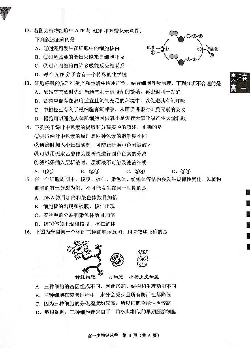 贵州省贵阳市普通中学2024-2025学年高一上学期期末监测试题生物试卷第3页