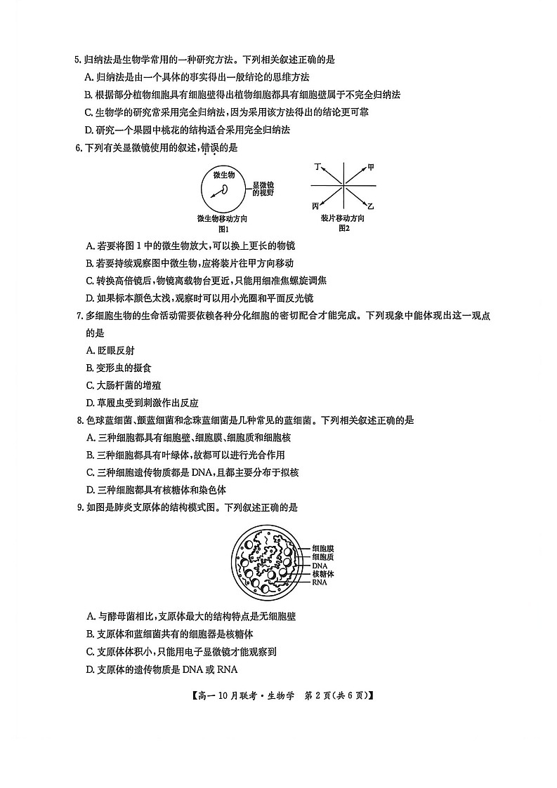 河南洛阳强基联盟联考2025-2026学年高一上学期10月考试生物试卷pdf第2页