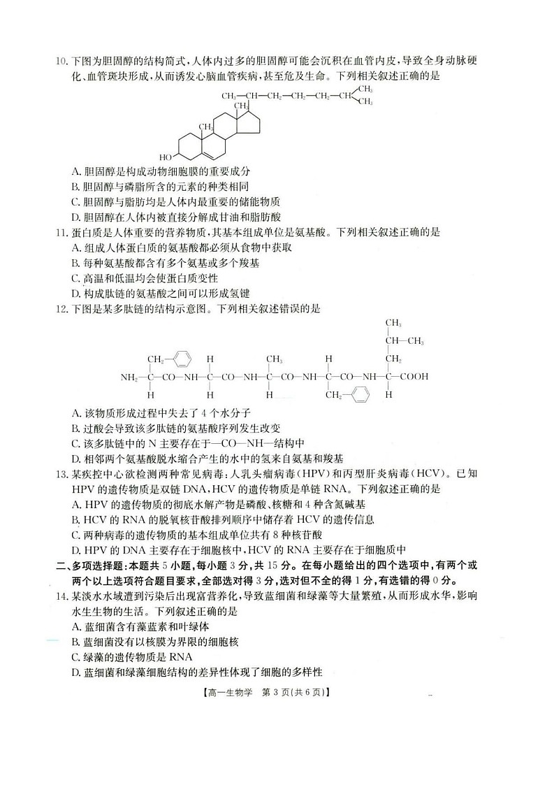河北省保定市2025-2026学年高一上学期10月月考生物试卷第3页