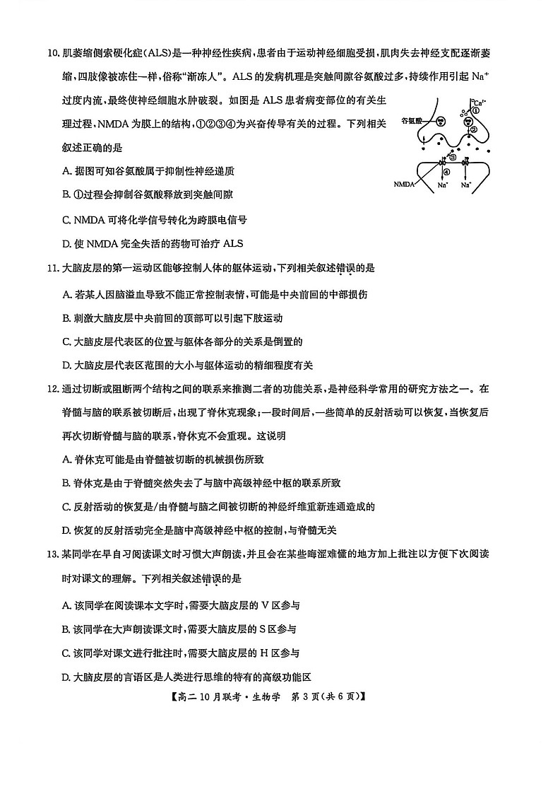 河南洛阳强基联盟联考2025-2026学年高二上学期10月考试生物试卷第3页