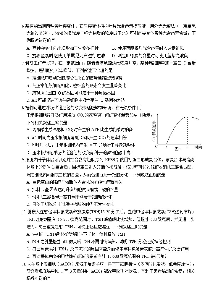 广东省汕头市金山中学2025-2026学年高三上学期10月考试生物试卷第2页