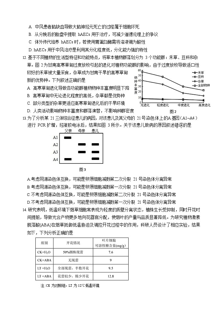 广东省汕头市金山中学2025-2026学年高三上学期10月考试生物试卷第3页