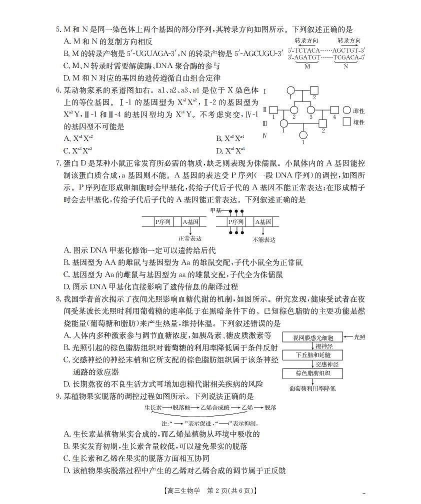 湖北省鄂州市2026届高三上学期第三届普通高中教师专业能力测试（解题大赛）+生物第2页