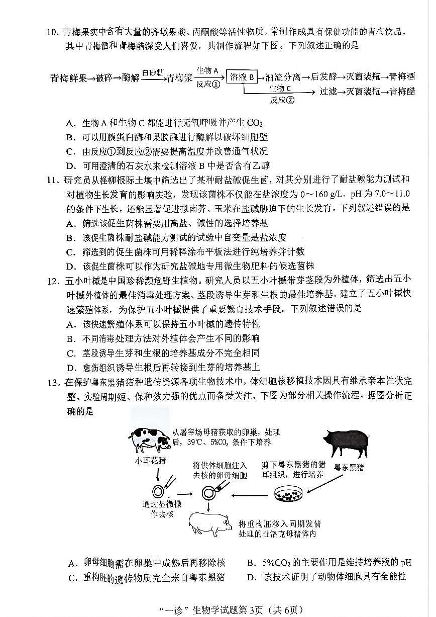 四川省南充市2025届高三高考适应性考试（一诊）生物第3页