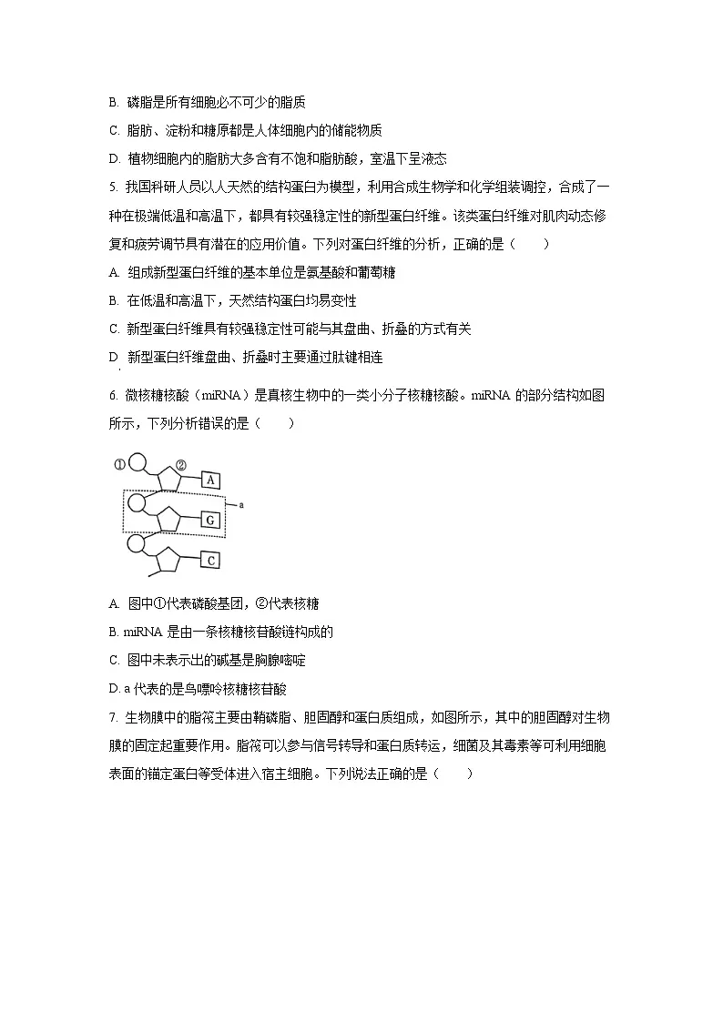 河南省多校2025-2026学年高三上学期第二次联考生物试题（学生版）第2页