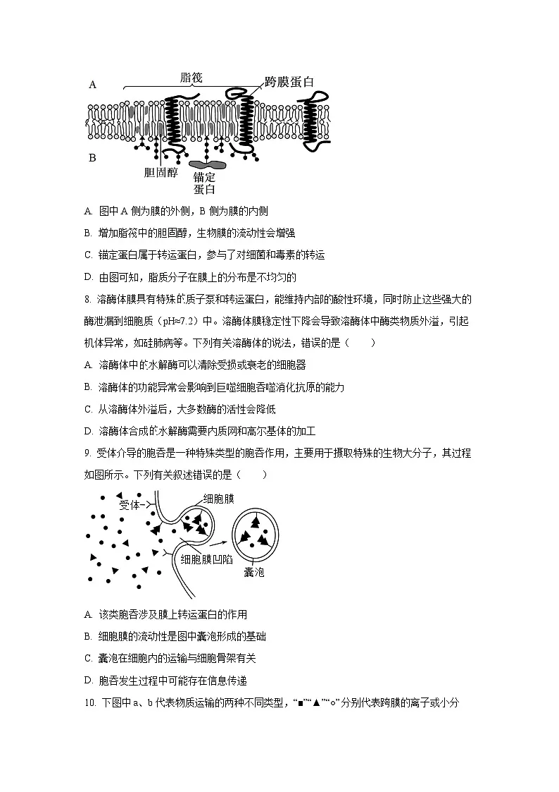 河南省多校2025-2026学年高三上学期第二次联考生物试题（学生版）第3页