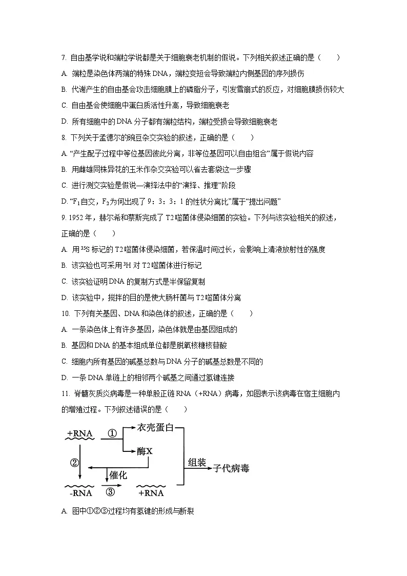 河北省保定市2025-2026学年高三上学期10月月考生物试题（学生版）第3页