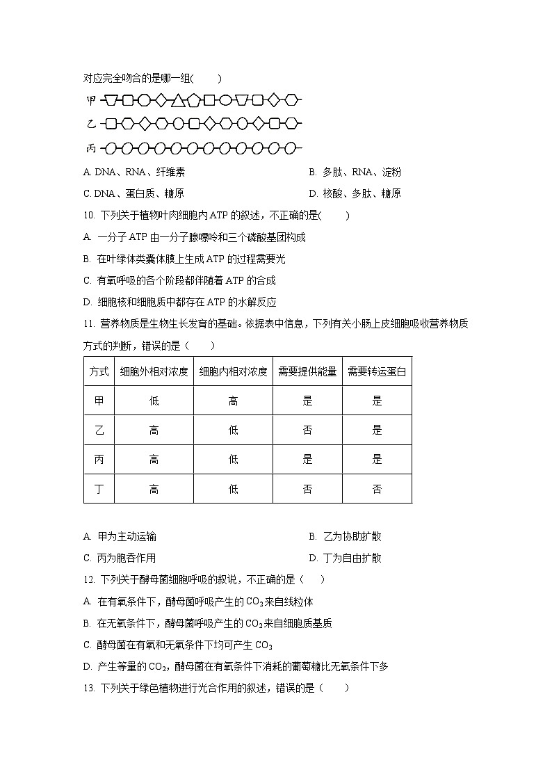 云南省红河州河口县高级中学校2024-2025学年高一上学期10月教学测评月考卷（四） 生物试题（学生版）第3页