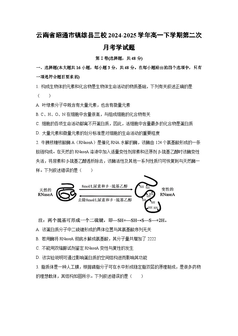 云南省昭通市镇雄县三校2024-2025学年高一下学期第二次月考学 生物试题（学生版）第1页