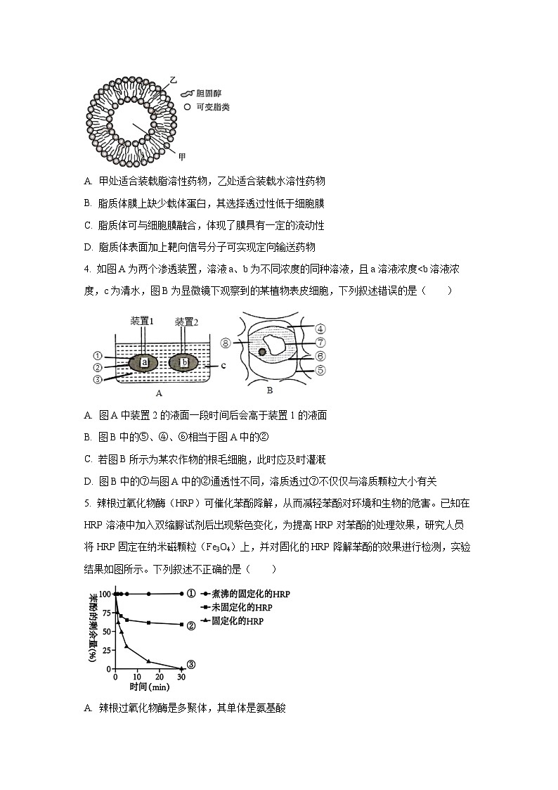 云南省昭通市镇雄县三校2024-2025学年高一下学期第二次月考学 生物试题（学生版）第2页