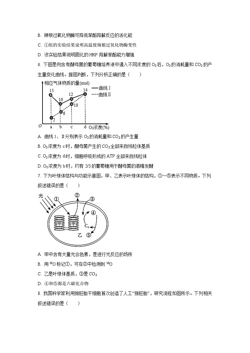 云南省昭通市镇雄县三校2024-2025学年高一下学期第二次月考学 生物试题（学生版）第3页