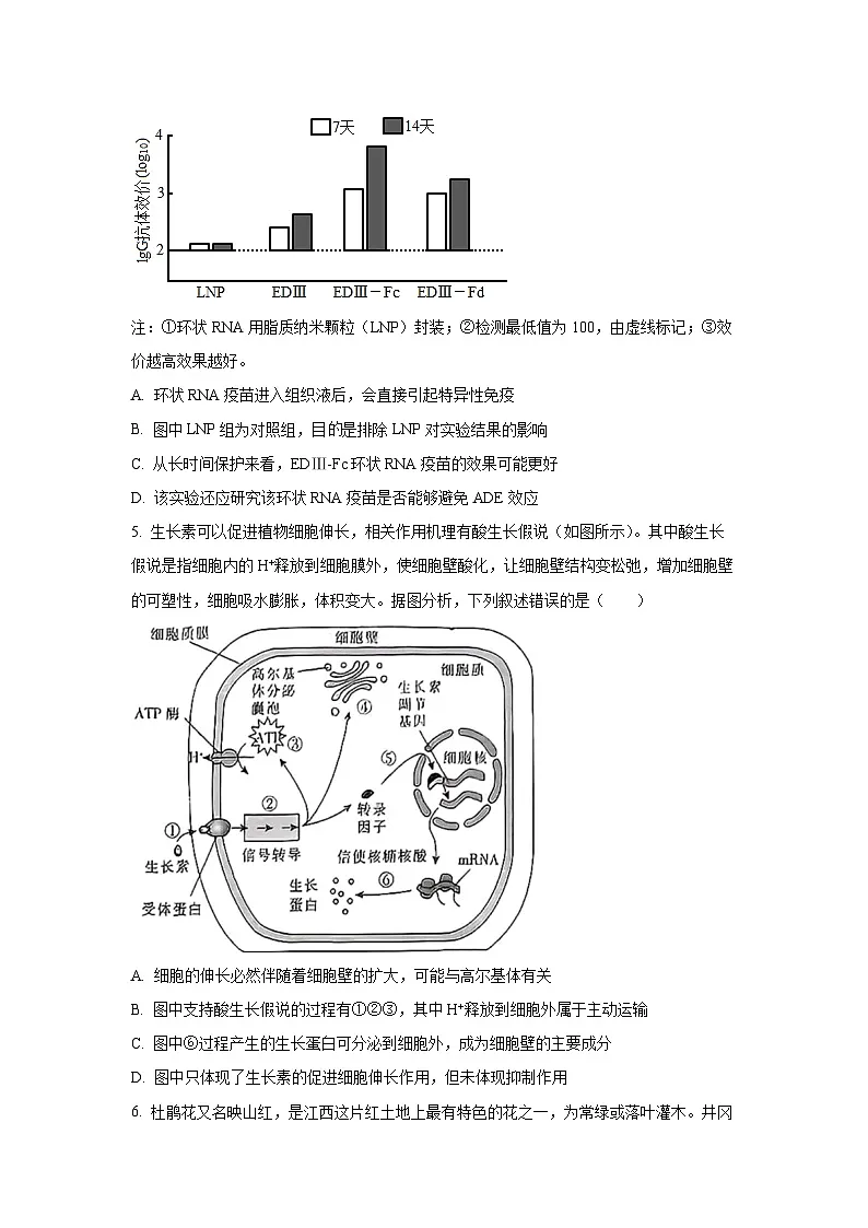江西省2024-2025学年高二上学期期末考试生物试题（学生版）第3页