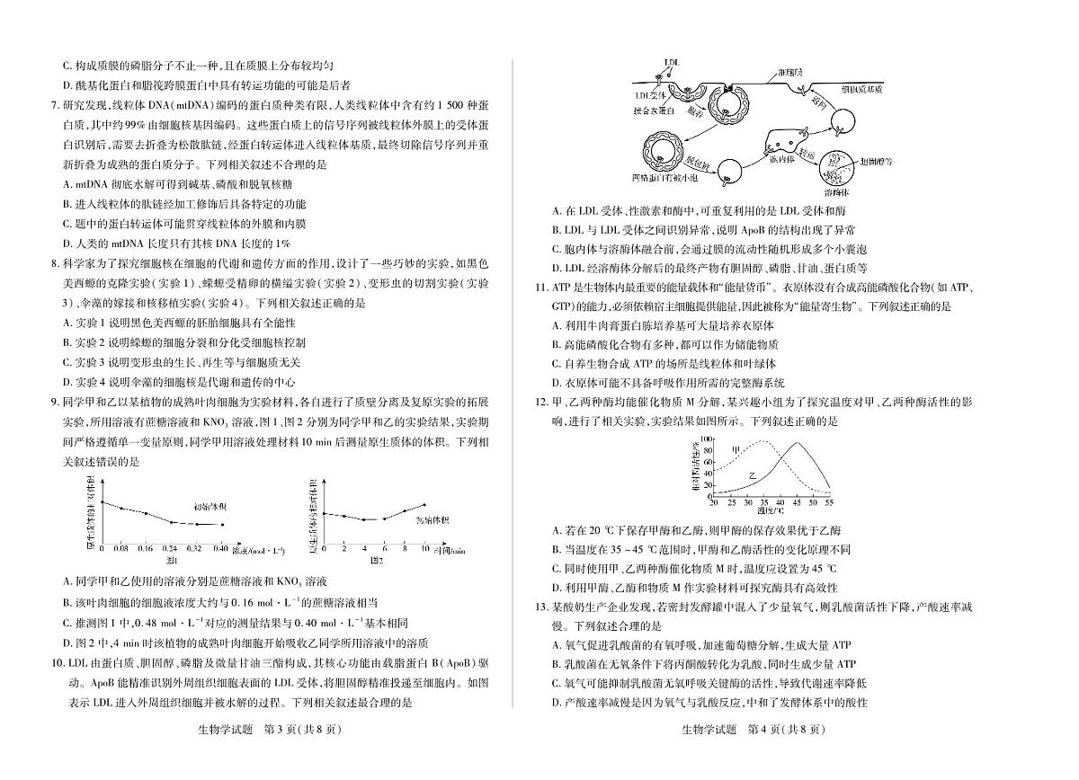 河南省2025—2026学年（上）高三阶段性检测生物第2页