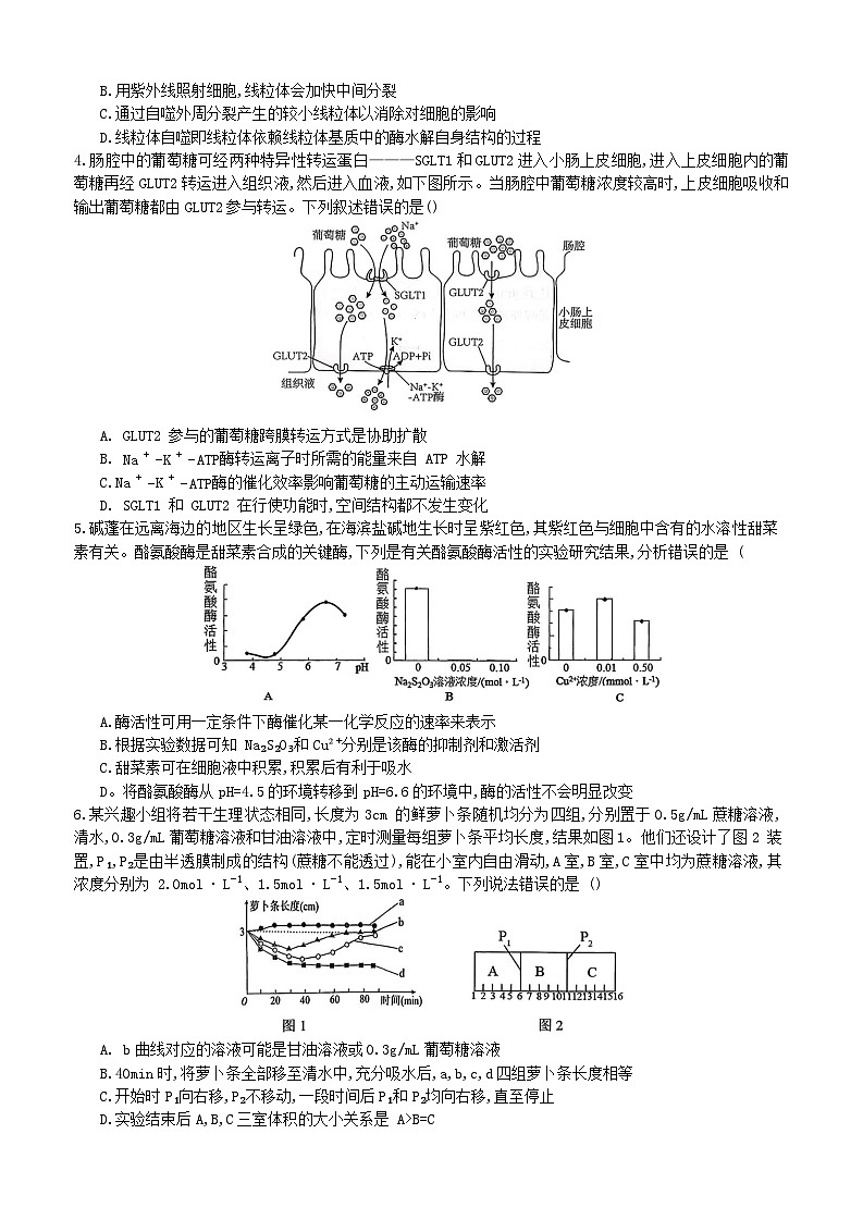2026重庆育才中学、鲁能巴蜀中学、万州高级中学高三上学期10月联合考试生物含答案第2页
