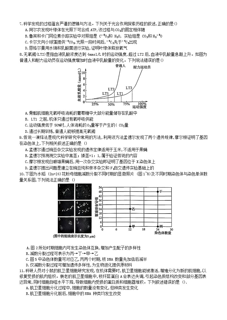 2026重庆育才中学、鲁能巴蜀中学、万州高级中学高三上学期10月联合考试生物含答案第3页