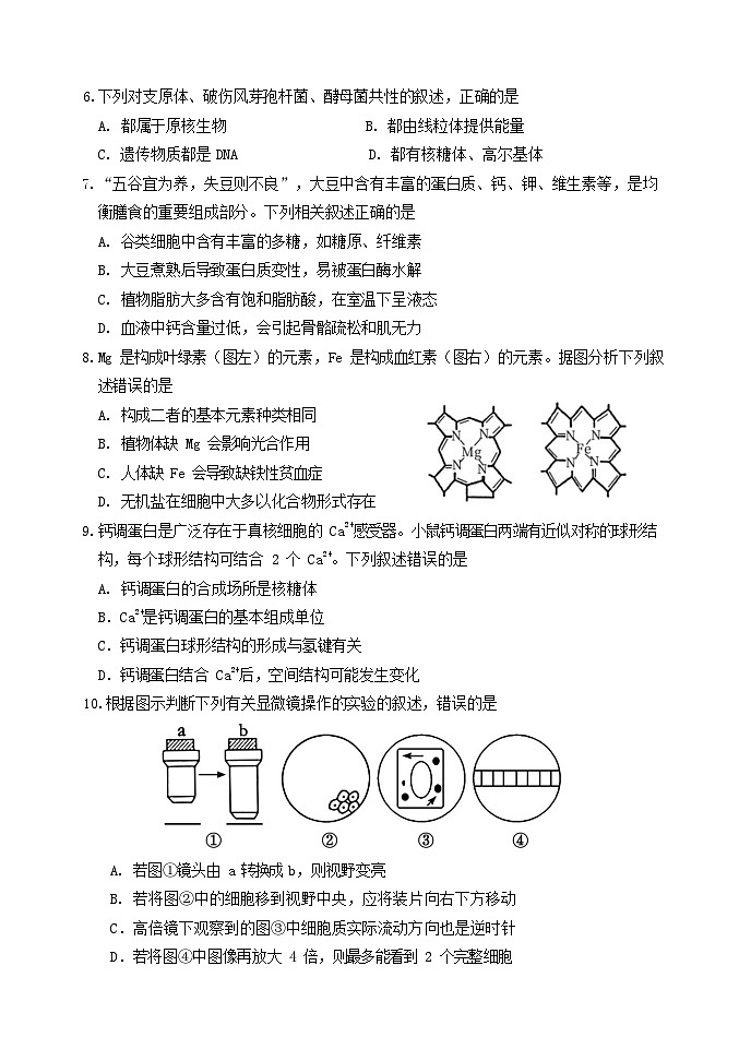 辽宁省东北育才高中2025 - 2026学年度上学期高一上学期10月考生物试卷第2页
