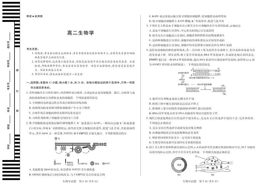 湖南省天一大联考2025-2026学年高二上学期10月考试生物试卷第1页