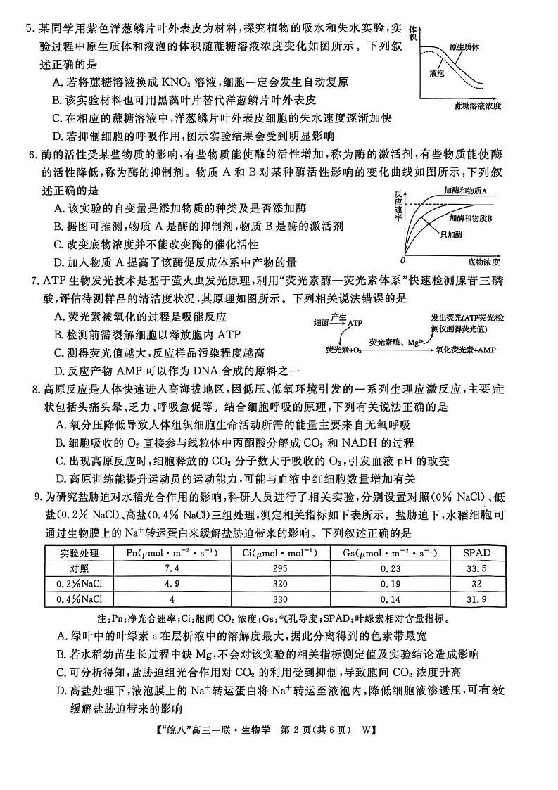 安徽省皖南八校大联考2026届高三上学期10月考试生物试卷第2页