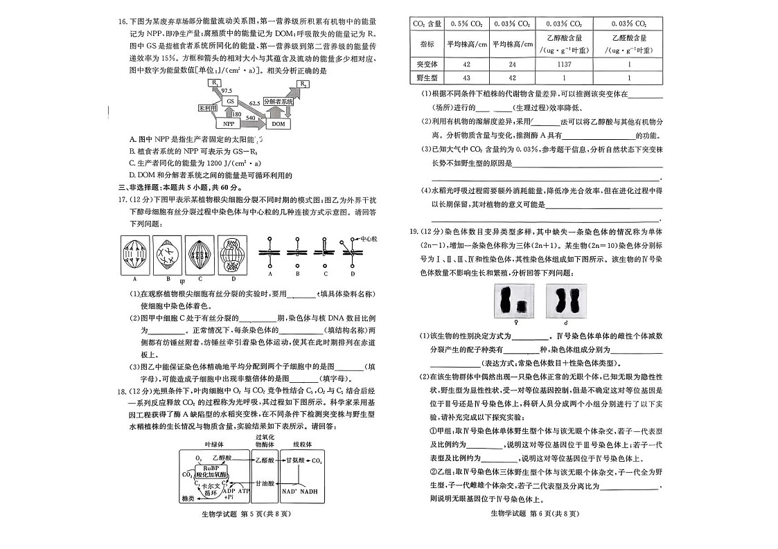湖南省名校联考2026届高三上学期10月月考生物试卷第3页