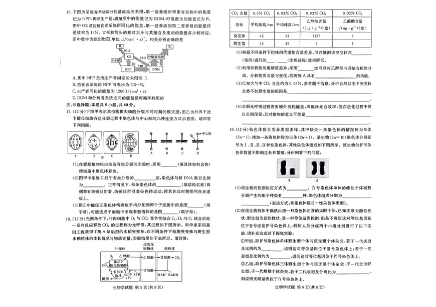 湖南省名校联考2026届高三上学期10月月考生物试卷第3页