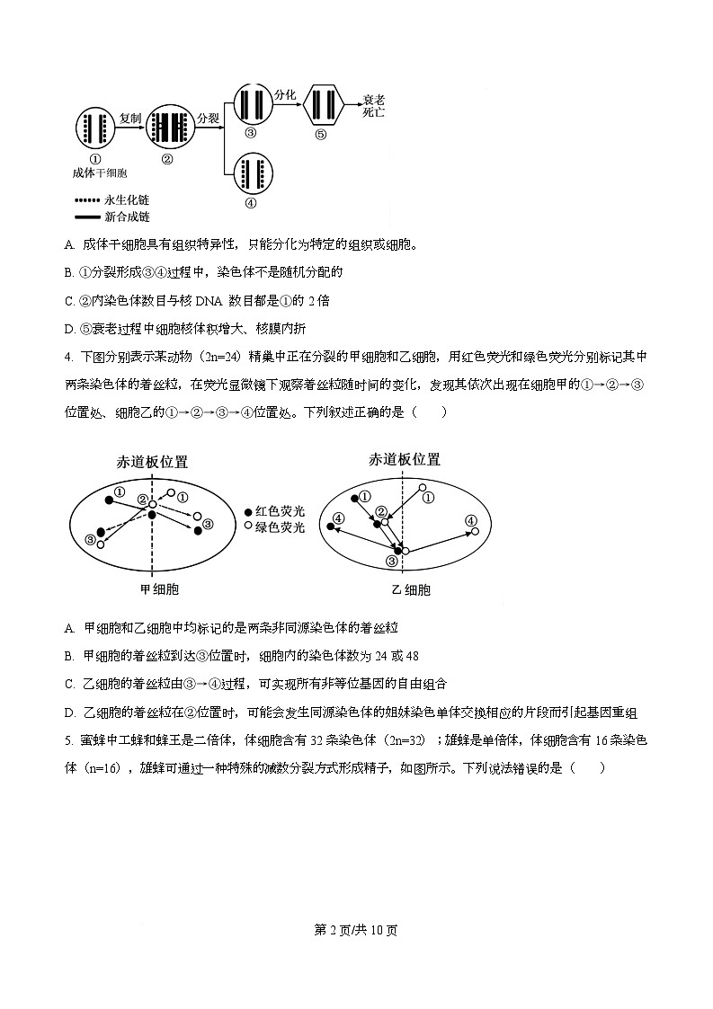 天津市南开大学附中2025年高三上学期第一次阶段检测+生物第2页