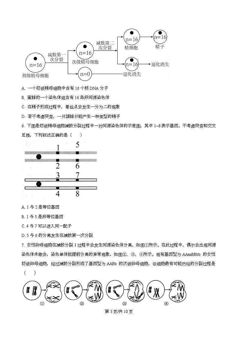 天津市南开大学附中2025年高三上学期第一次阶段检测+生物第3页