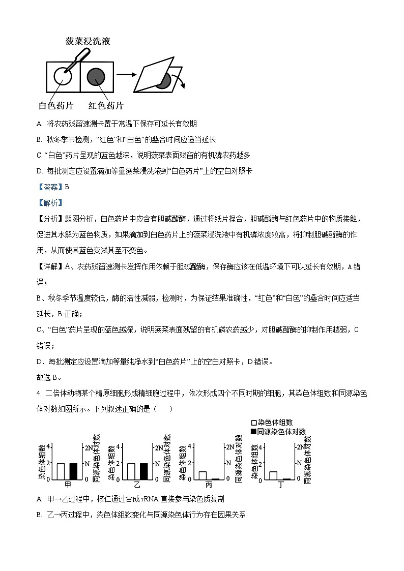 精品解析：山西省山大附中2025-2026学年高三上学期9月月考生物试题（解析版）第3页