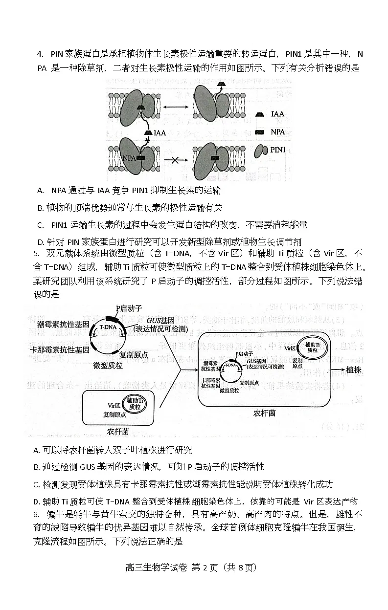 湖北省恩施2026届高三上学期9月起点考试+生物第2页