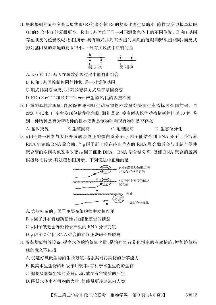 广东省清远市三校2024-2025学年高二下学期期中联考试题生物试卷+解析第3页