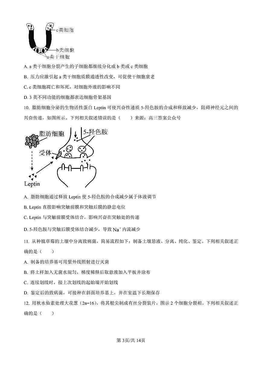 2025《高考真题•江苏》生物试卷+答案第3页