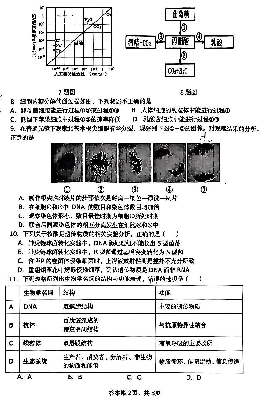 2025北京平谷中学高三上10月月考生物试卷第2页