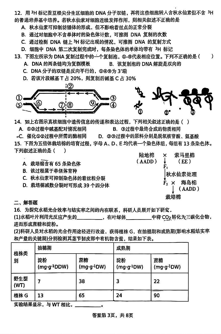 2025北京平谷中学高三上10月月考生物试卷第3页