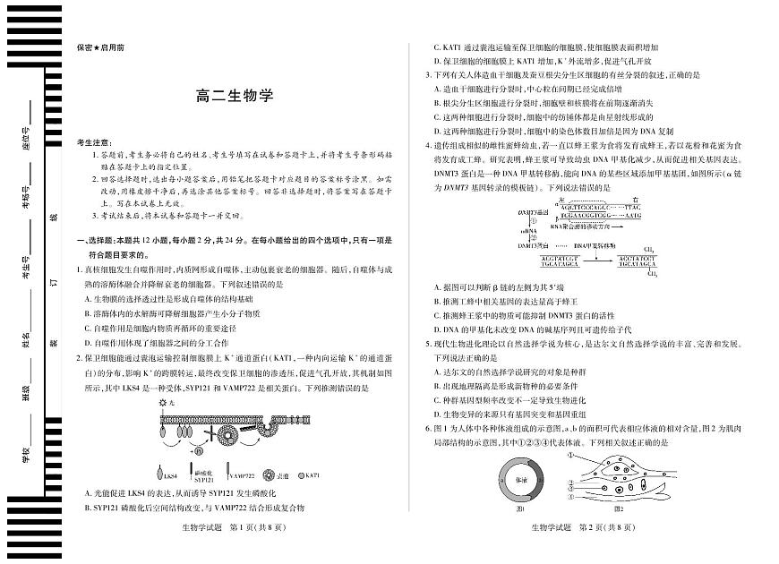 生物-湖南天一联考2025-2026学年高二上学期10月联考试题及答案第1页