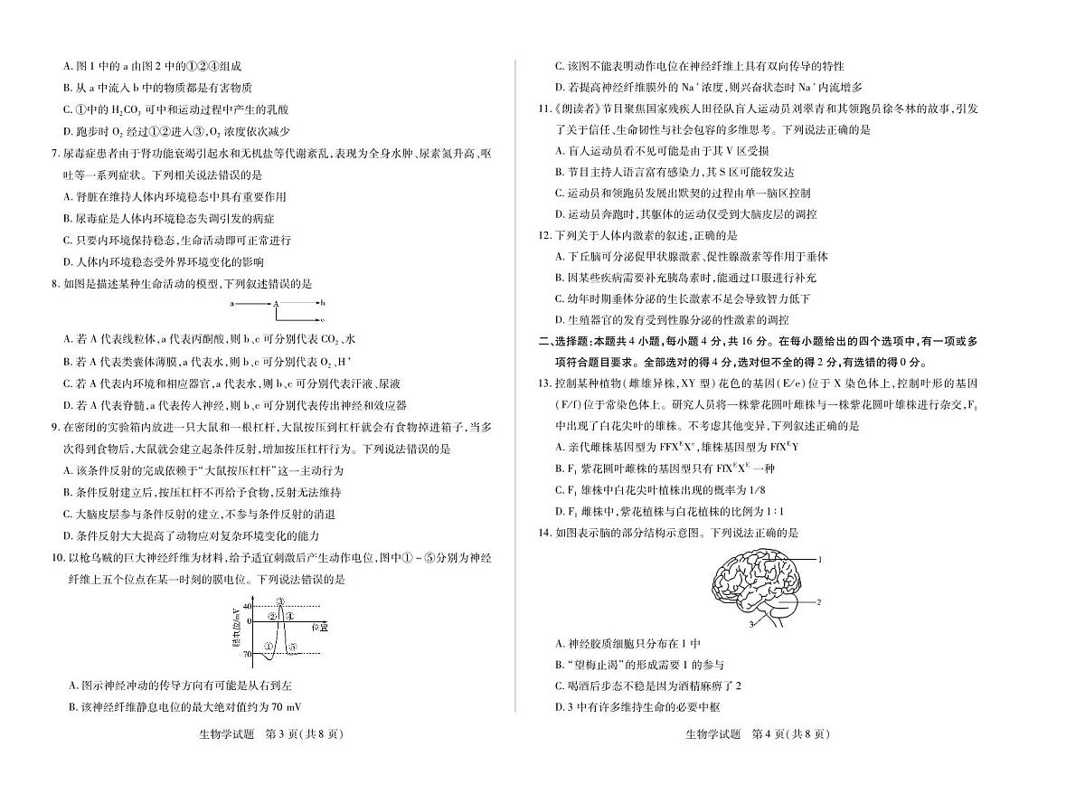 生物-湖南天一联考2025-2026学年高二上学期10月联考试题及答案第2页