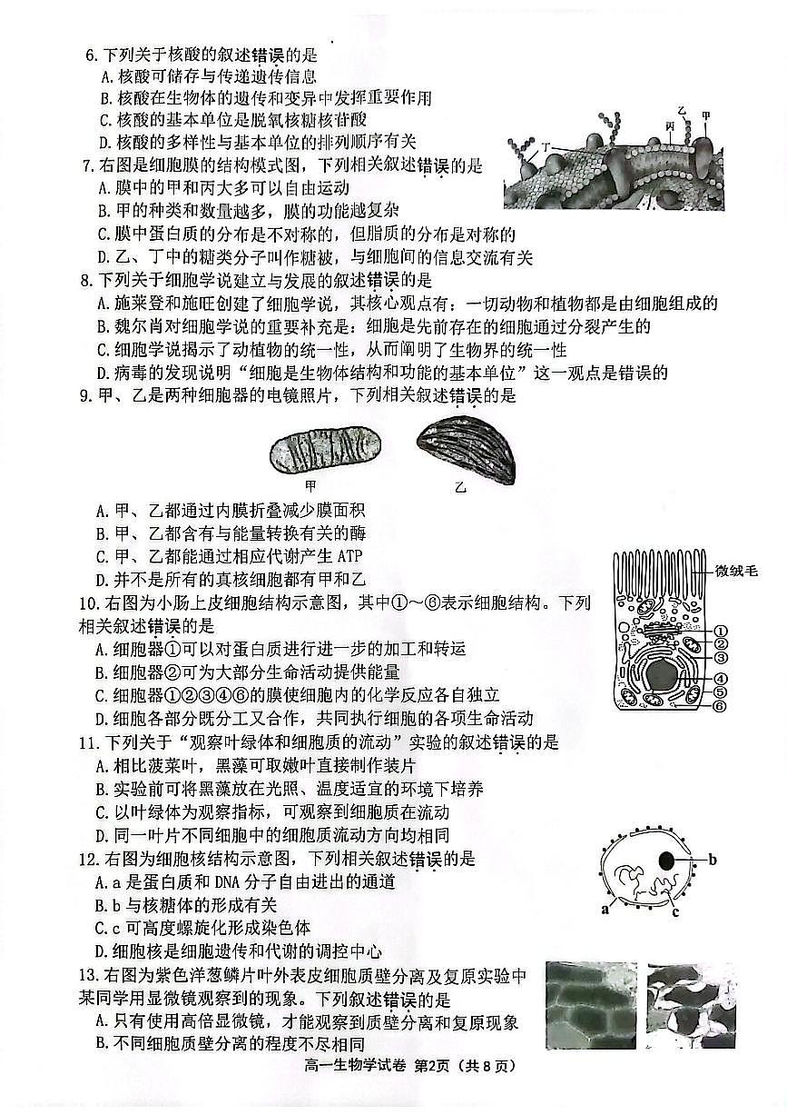 江苏省连云港市2024-2025学年高一上学期期末调研考试生物试题第2页