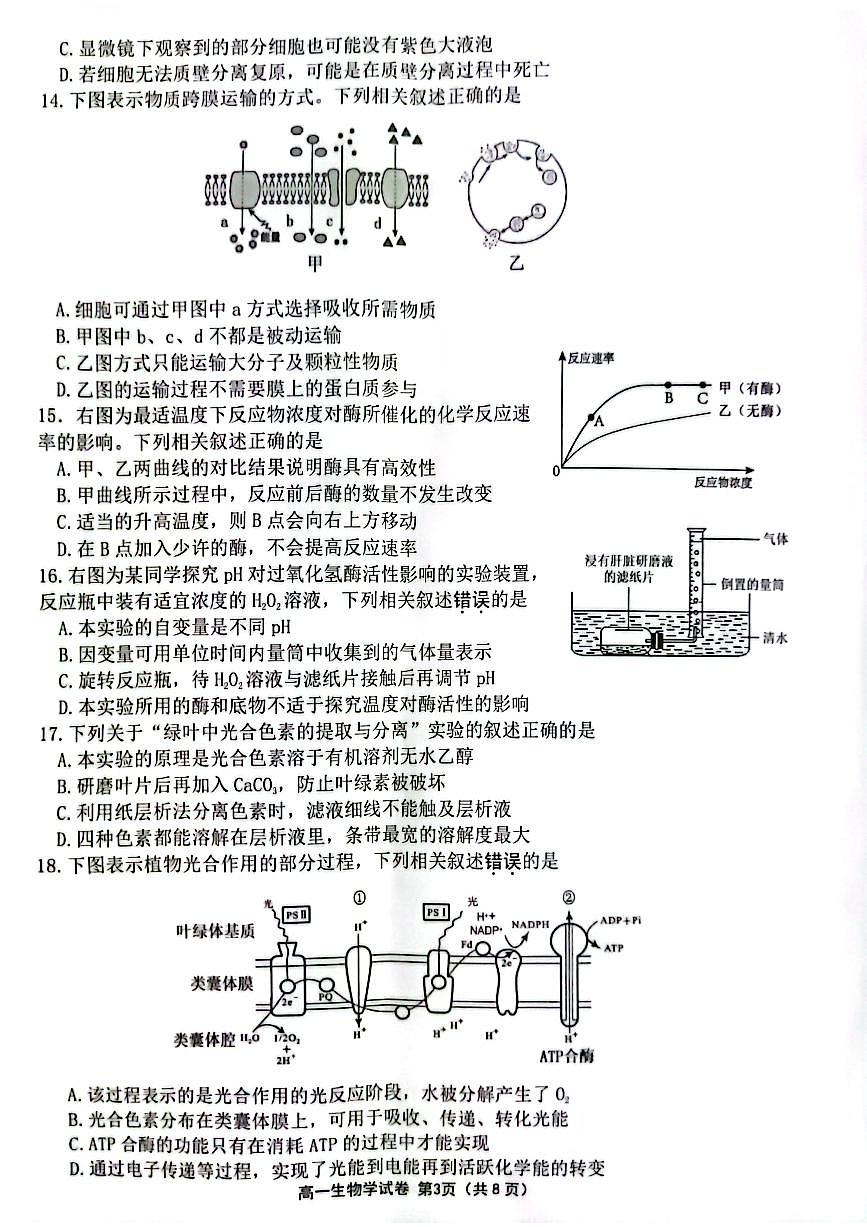 江苏省连云港市2024-2025学年高一上学期期末调研考试生物试题第3页