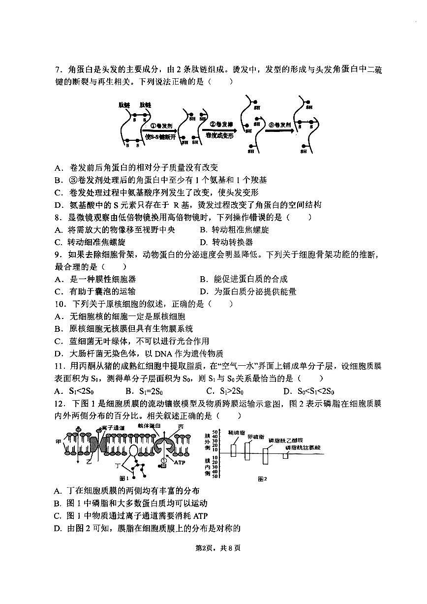 江苏省盐城市五校联盟校2024-2025学年高一上学期1月期末考试试题生物试卷第2页