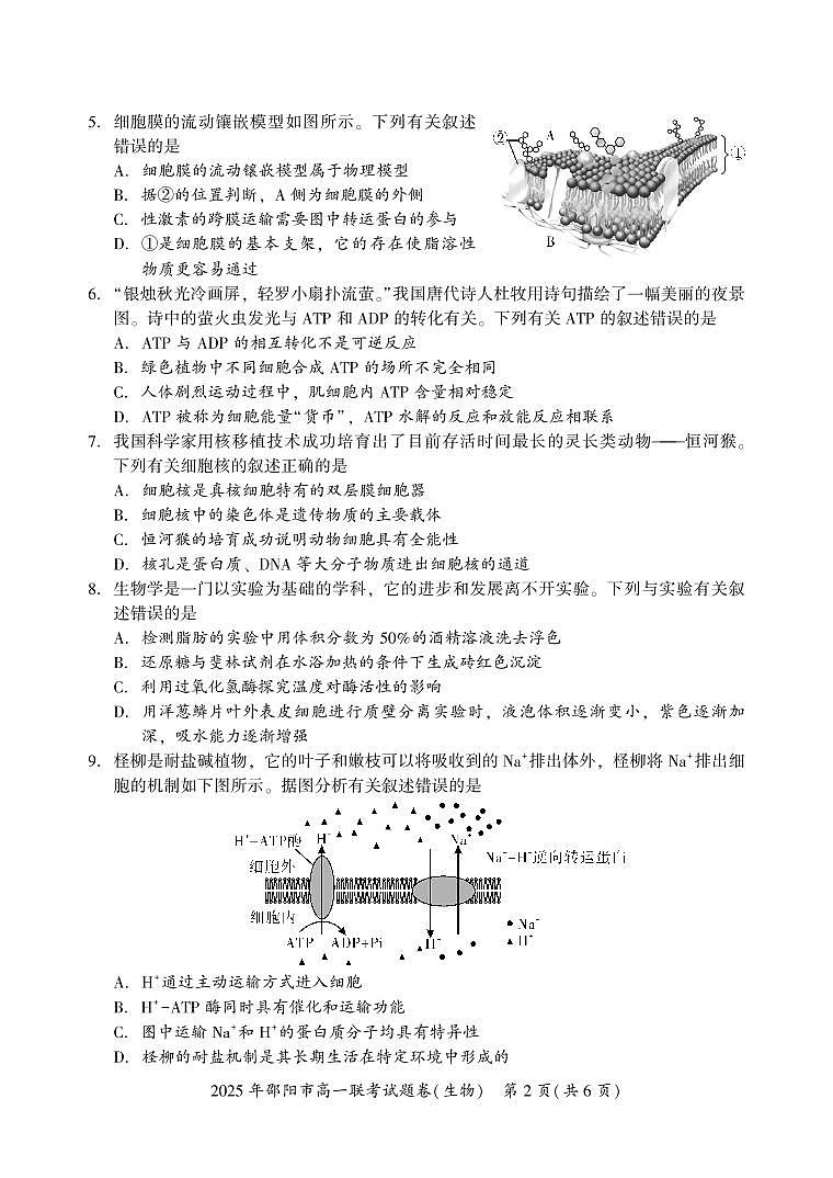 湖南省邵阳市2024-2025学年高一上学期期末考试试题生物试卷第2页