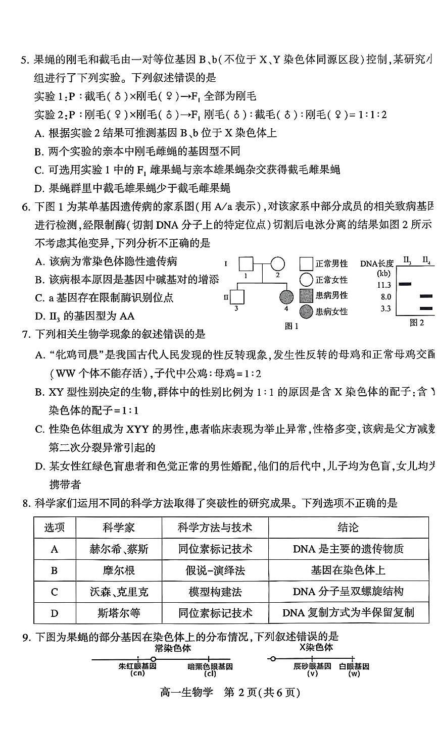 河南省许昌市2024-2025学年高一下学期7月期末教学质量检测生物试卷第2页