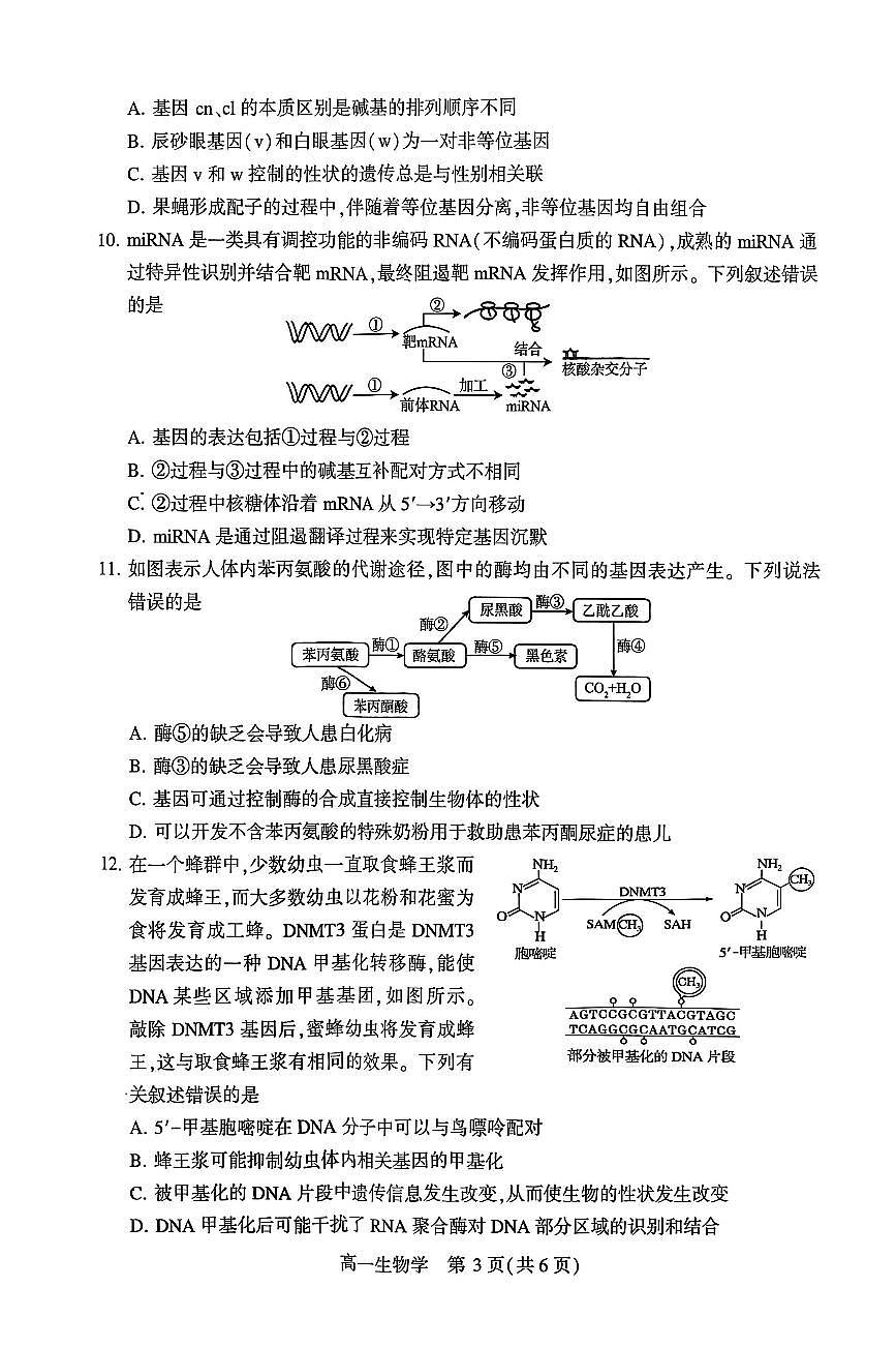 河南省许昌市2024-2025学年高一下学期7月期末教学质量检测生物试卷第3页