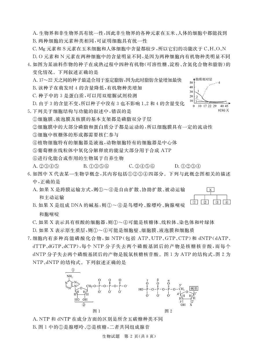 青桐鸣10月高三联考生物第2页