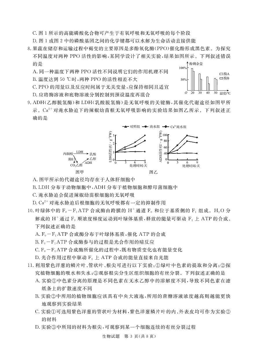 青桐鸣10月高三联考生物第3页