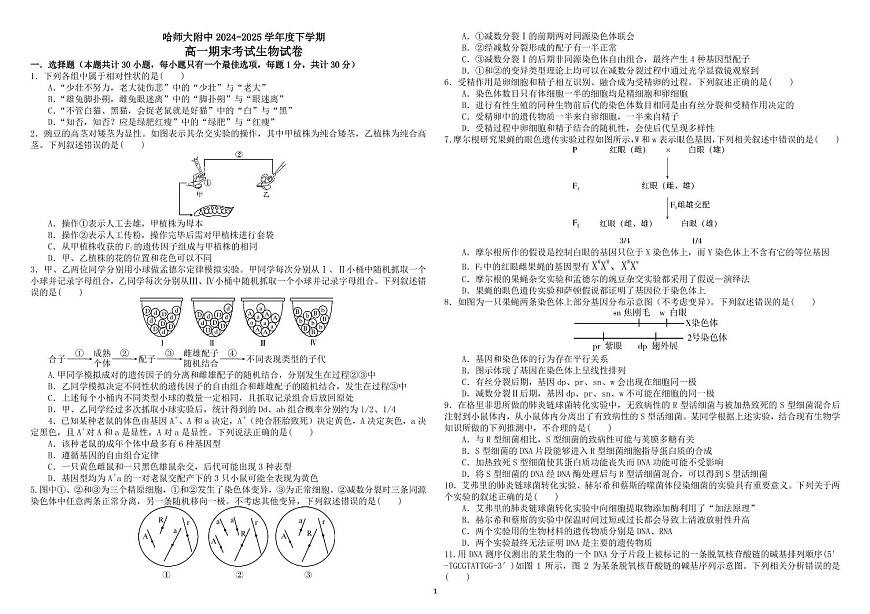 黑龙江省哈尔滨师范大学附属中学2024-2025学年高一下学期期末考试生物试卷第1页