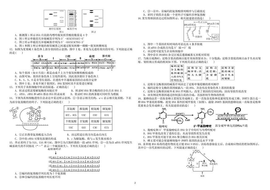 黑龙江省哈尔滨师范大学附属中学2024-2025学年高一下学期期末考试生物试卷第2页