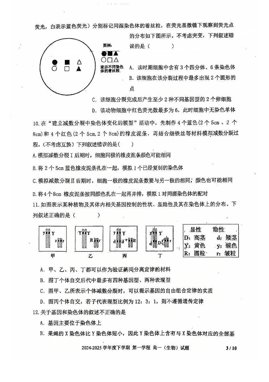 吉林省长春市十一高中2024-2025学年高一下学期4月第一学程考试生物试卷第3页