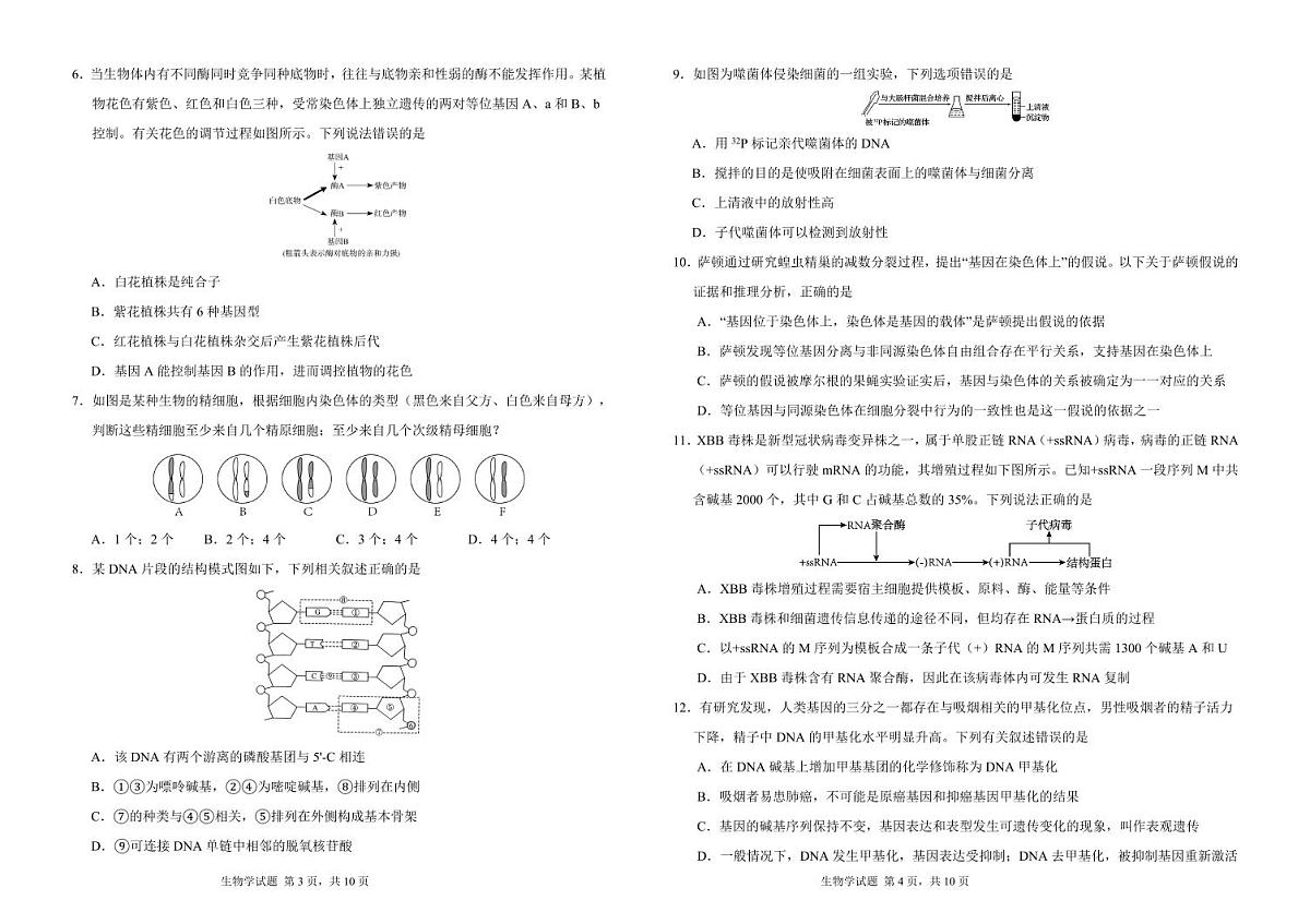 吉林省长春外国语学校2024-2025学年高一下学期期中考试生物试卷+答案第2页